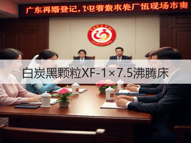 白炭黑颗粒XF-1×7.5沸腾床(图1) 白炭黑颗粒XF-1×7.5沸腾床(图1)
