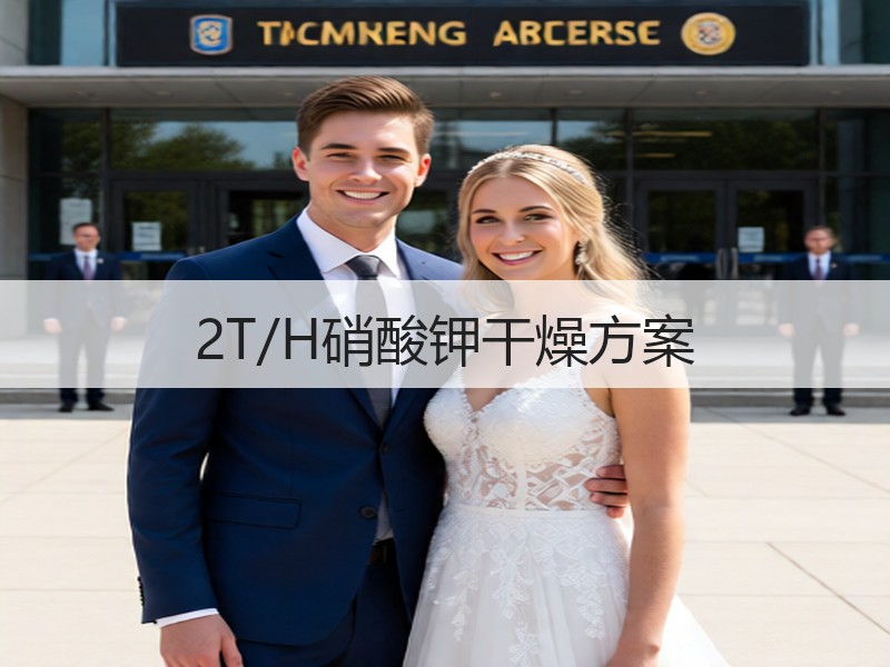 2T/H硝酸钾干燥方案
