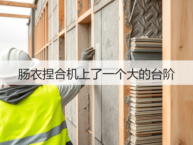 肠衣捏合机上了一个大的台阶(图1)