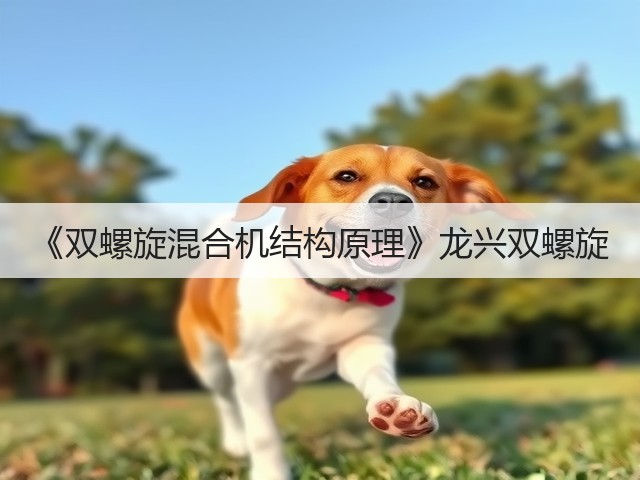 《双螺旋混合机结构原理》龙兴双螺旋(图1) 《双螺旋混合机结构原理》龙兴双螺旋(图1)