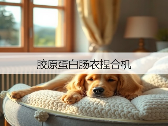 胶原蛋白肠衣捏合机(图3) 胶原蛋白肠衣捏合机(图3)