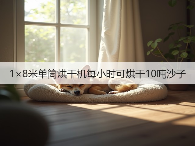 1×8米单筒烘干机每小时可烘干10吨沙子(图2) 1×8米单筒烘干机每小时可烘干10吨沙子(图2)