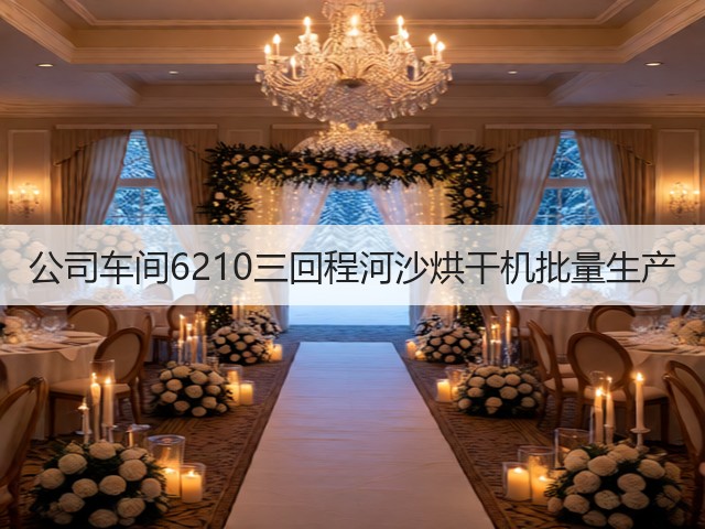 公司车间6210三回程河沙烘干机批量生产(图3)