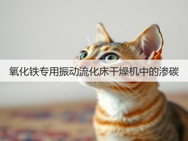 氧化铁专用振动流化床干燥机中的渗碳(图2) 氧化铁专用振动流化床干燥机中的渗碳(图2)