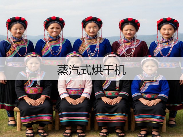 蒸汽式烘干机(图1) 蒸汽式烘干机(图1)
