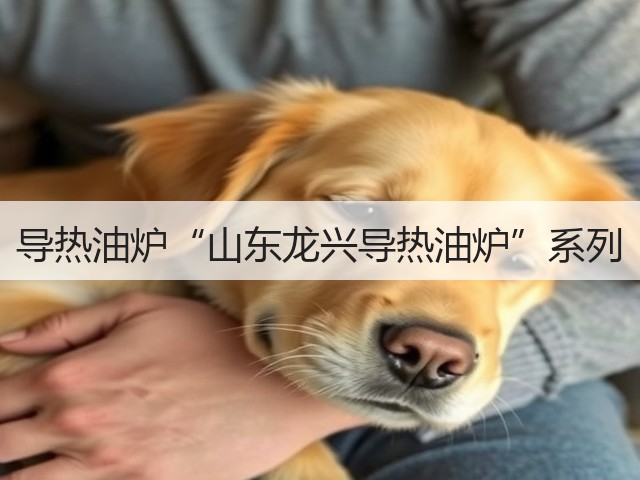 导热油炉“山东龙兴导热油炉”系列(图2) 导热油炉“山东龙兴导热油炉”系列(图2)