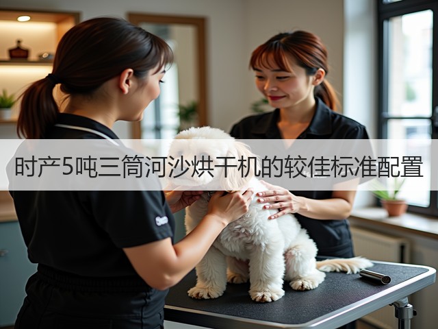 时产5吨三筒河沙烘干机的较佳标准配置(图3)