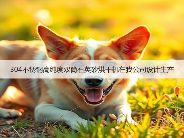 304不锈钢高纯度双筒石英砂烘干机在我公司设计生产(图1) 304不锈钢高纯度双筒石英砂烘干机在我公司设计生产(图1)