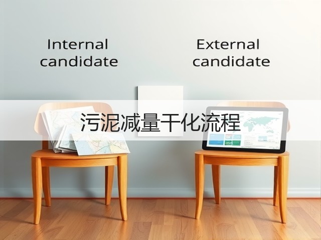 污泥减量干化流程(图2)