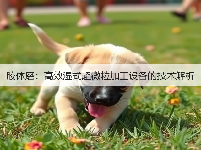 胶体磨：高效湿式超微粒加工设备的技术解析(图2)