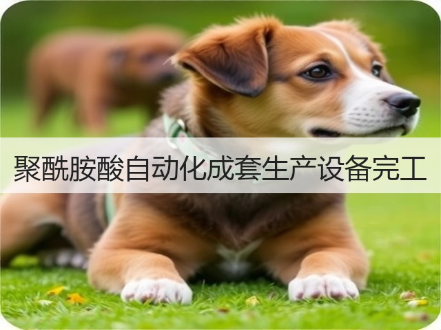 聚酰胺酸自动化成套生产设备完工(图1)