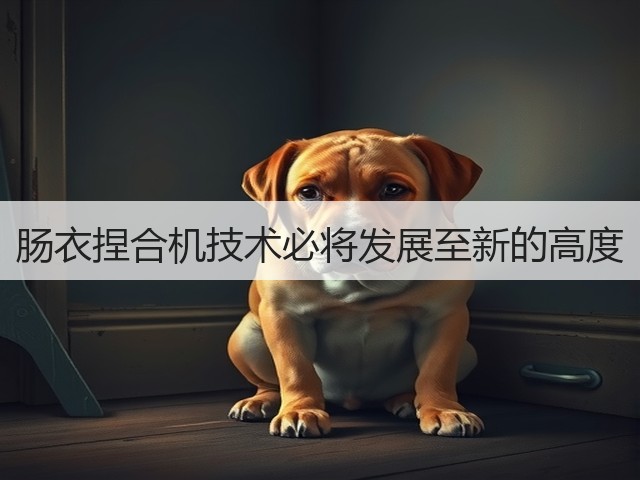 肠衣捏合机技术必将发展至新的高度(图2)
