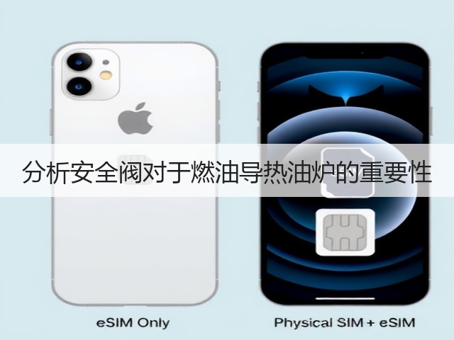 分析安全阀对于燃油导热油炉的重要性(图3) 分析安全阀对于燃油导热油炉的重要性(图3)