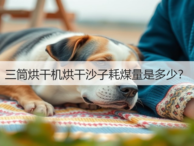三筒烘干机烘干沙子耗煤量是多少?(图1) 三筒烘干机烘干沙子耗煤量是多少?(图1)
