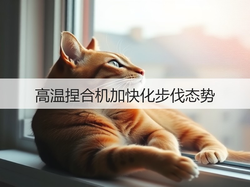 高温捏合机加快化步伐态势 高温捏合机加快化步伐态势