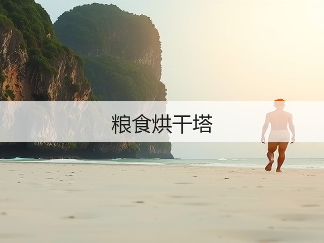 粮食烘干塔(图1) 粮食烘干塔(图1)