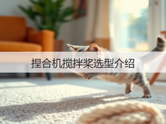 捏合机搅拌桨选型介绍(图1) 捏合机搅拌桨选型介绍(图1)