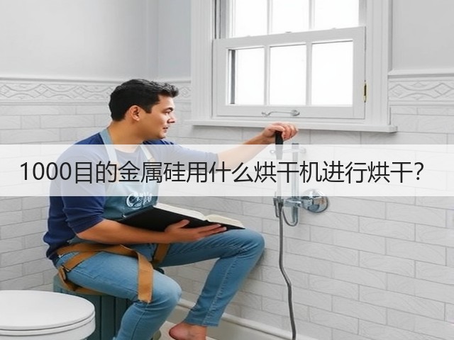 1000目的金属硅用什么烘干机进行烘干?(图1) 1000目的金属硅用什么烘干机进行烘干?(图1)