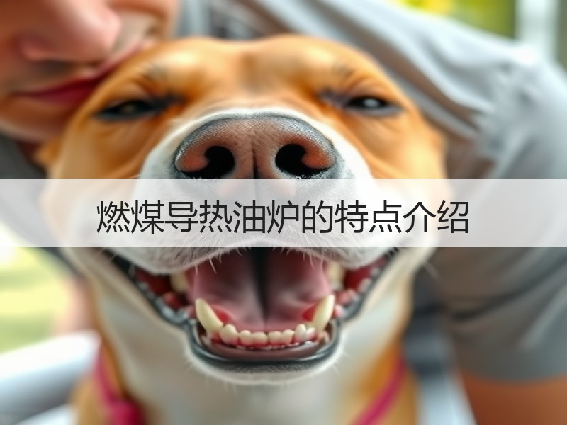 燃煤导热油炉的特点介绍 燃煤导热油炉的特点介绍