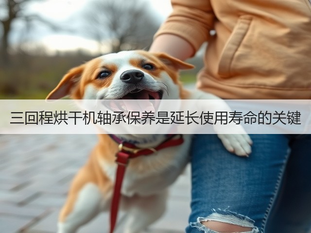 三回程烘干机轴承保养是延长使用寿命的关键(图2) 三回程烘干机轴承保养是延长使用寿命的关键(图2)