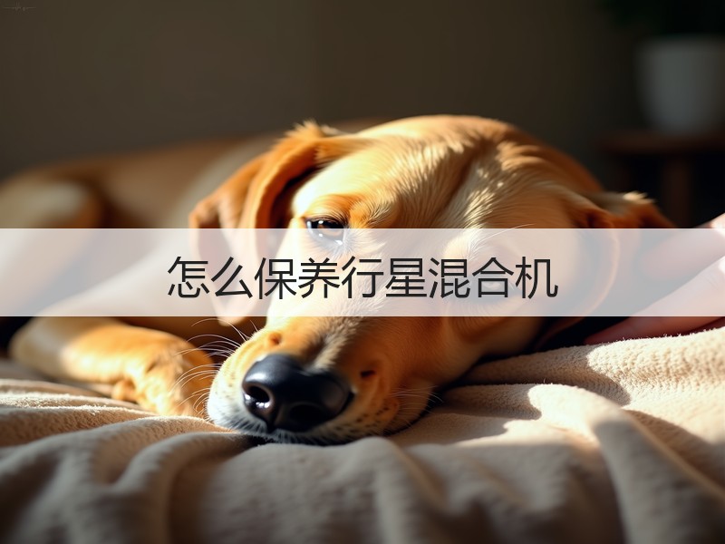 怎么保养行星混合机