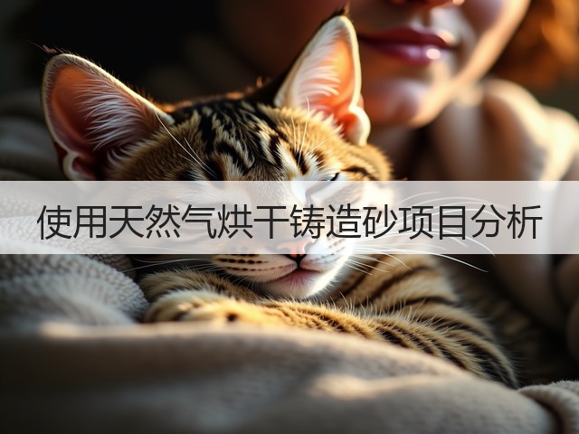 使用天然气烘干铸造砂项目分析(图2) 使用天然气烘干铸造砂项目分析(图2)