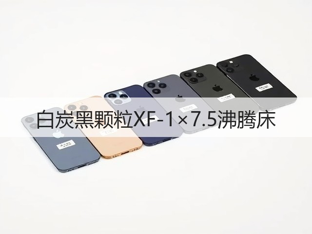 白炭黑颗粒XF-1×7.5沸腾床(图2) 白炭黑颗粒XF-1×7.5沸腾床(图2)