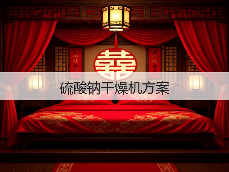 硫酸钠干燥机方案