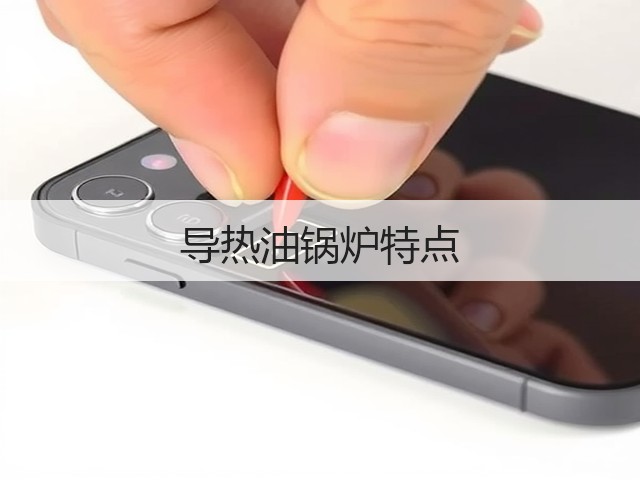 导热油锅炉特点(图2) 导热油锅炉特点(图2)