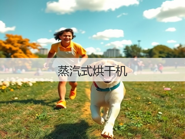蒸汽式烘干机(图2) 蒸汽式烘干机(图2)