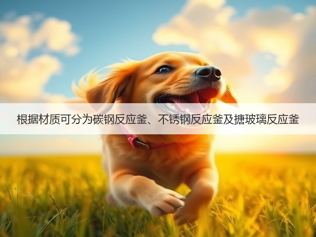 根据材质可分为碳钢反应釜、不锈钢反应釜及搪玻璃反应釜(图3)