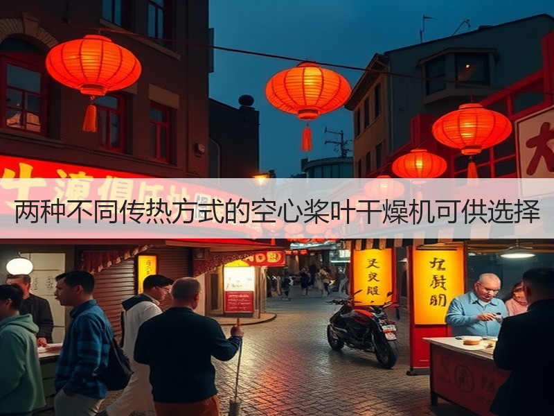 两种不同传热方式的空心桨叶干燥机可供选择 两种不同传热方式的空心桨叶干燥机可供选择