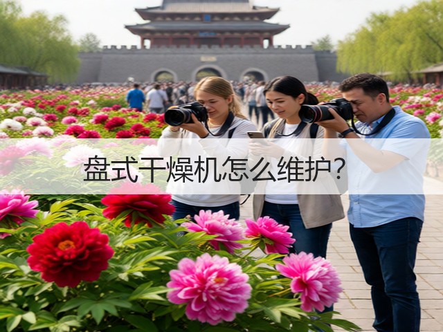 盘式干燥机怎么维护？(图2)