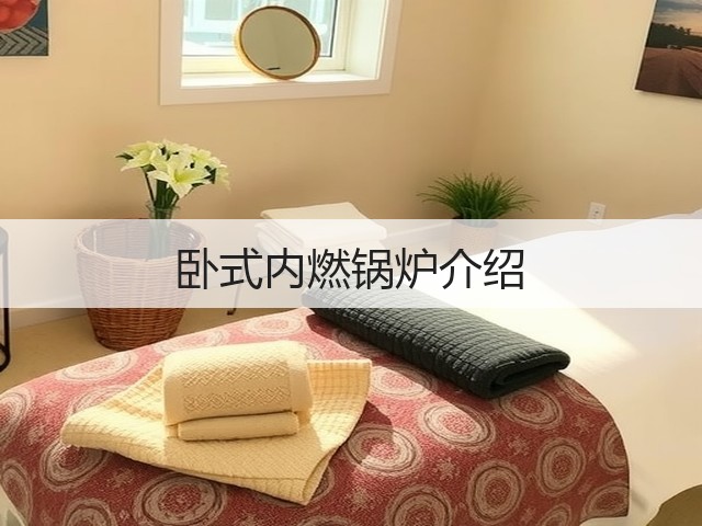 卧式内燃锅炉介绍(图1) 卧式内燃锅炉介绍(图1)