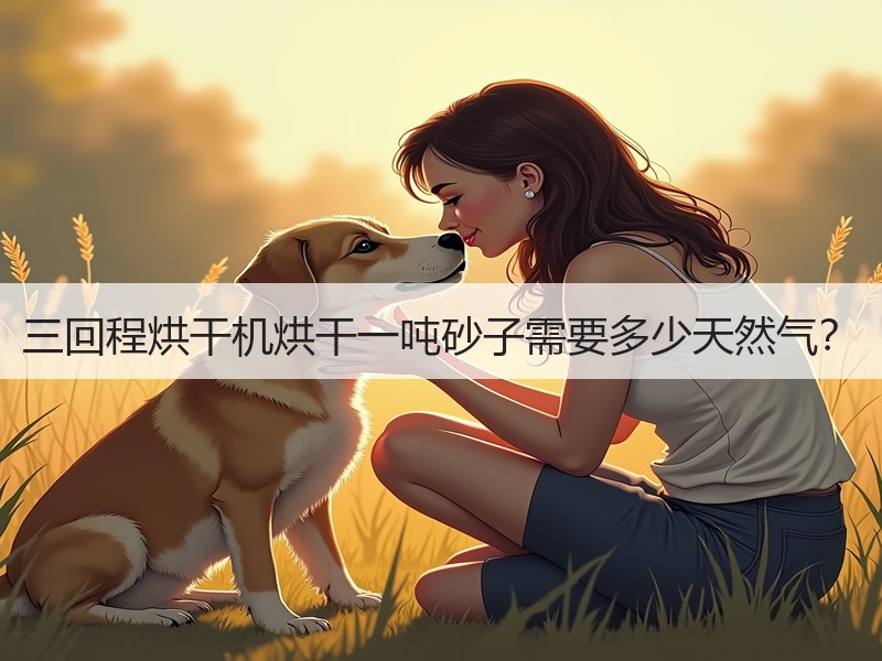 三回程烘干机烘干一吨砂子需要多少天然气? 三回程烘干机烘干一吨砂子需要多少天然气?