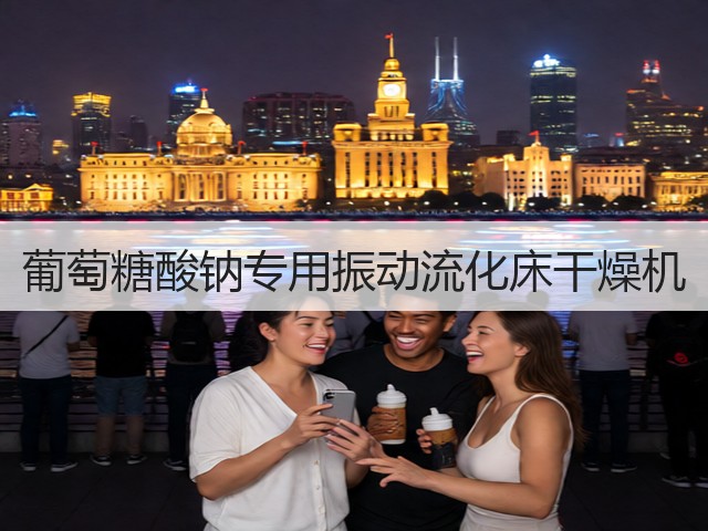 葡萄糖酸钠专用振动流化床干燥机(图1) 葡萄糖酸钠专用振动流化床干燥机(图1)