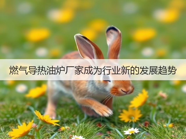 燃气导热油炉厂家成为行业新的发展趋势(图2) 燃气导热油炉厂家成为行业新的发展趋势(图2)