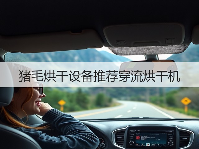 猪毛烘干设备推荐穿流烘干机(图2) 猪毛烘干设备推荐穿流烘干机(图2)