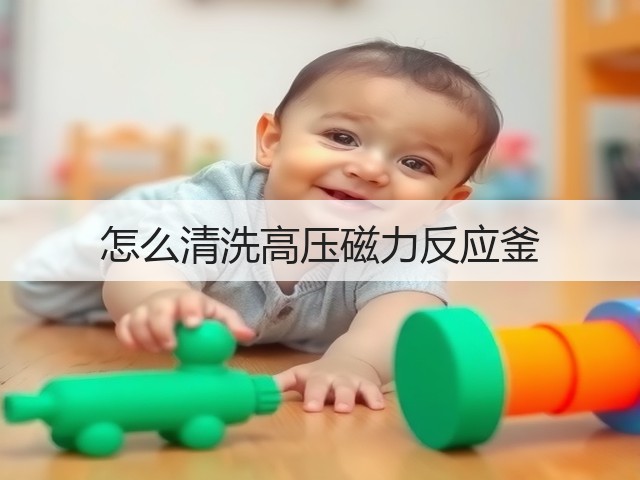 怎么清洗高压磁力反应釜(图3) 怎么清洗高压磁力反应釜(图3)