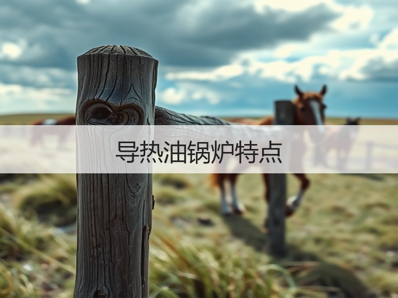 导热油锅炉特点 导热油锅炉特点