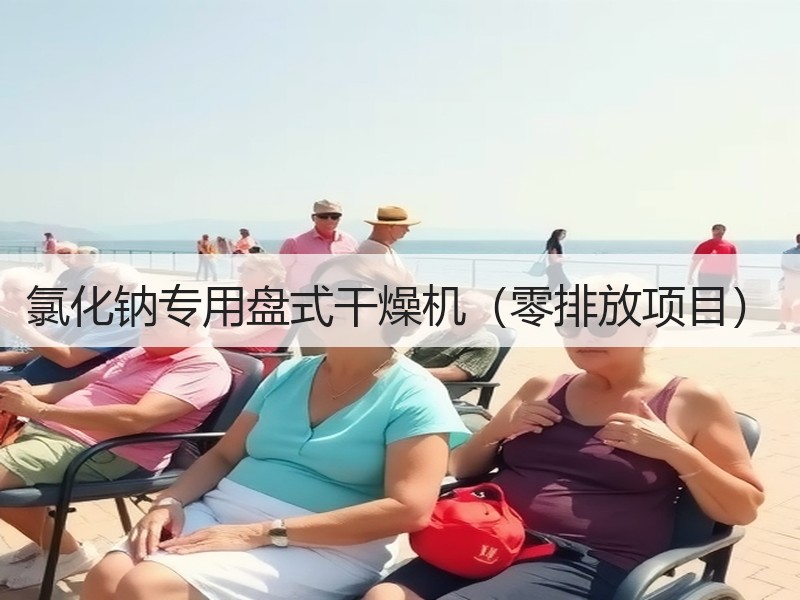 氯化钠专用盘式干燥机（零排放项目）