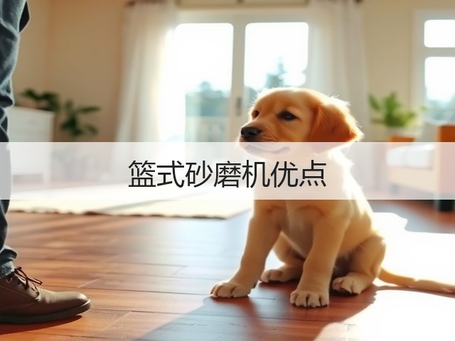 篮式砂磨机优点(图1) 篮式砂磨机优点(图1)