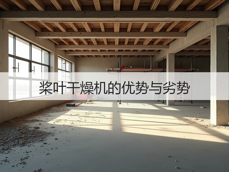 桨叶干燥机的优势与劣势