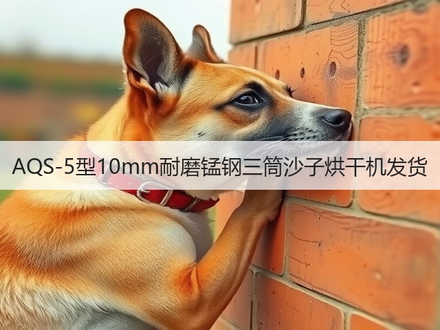 AQS-5型10mm耐磨锰钢三筒沙子烘干机发货(图2) AQS-5型10mm耐磨锰钢三筒沙子烘干机发货(图2)