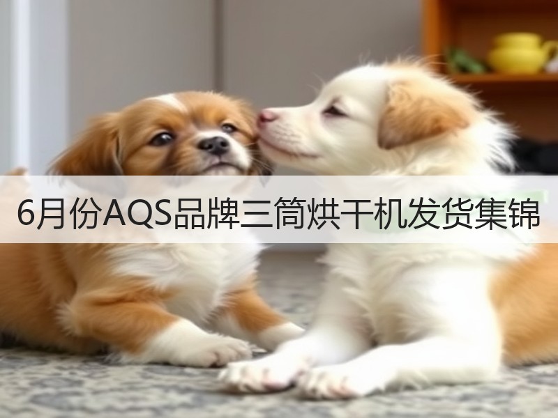 6月份AQS品牌三筒烘干机发货集锦 6月份AQS品牌三筒烘干机发货集锦