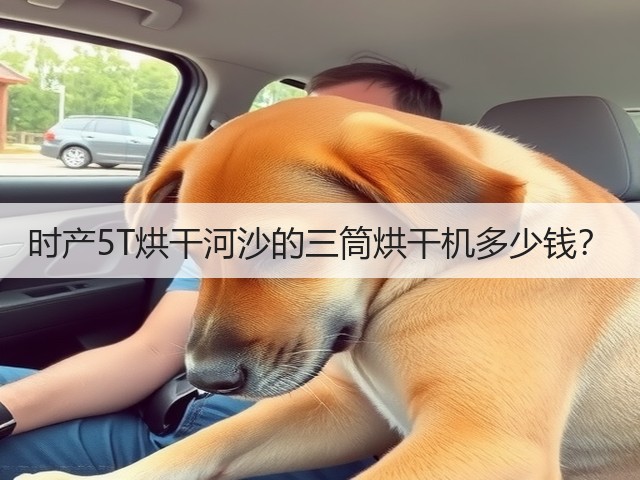 时产5T烘干河沙的三筒烘干机多少钱?(图3) 时产5T烘干河沙的三筒烘干机多少钱?(图3)