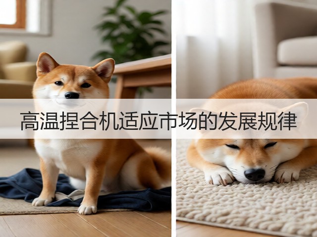 高温捏合机适应市场的发展规律(图2) 高温捏合机适应市场的发展规律(图2)