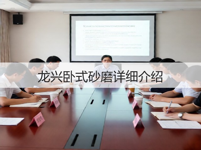 龙兴卧式砂磨详细介绍(图2) 龙兴卧式砂磨详细介绍(图2)