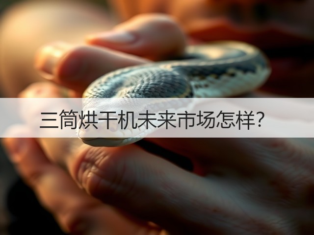 三筒烘干机未来市场怎样?(图1) 三筒烘干机未来市场怎样?(图1)