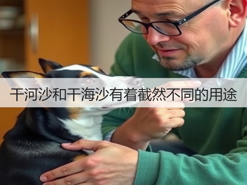 干河沙和干海沙有着截然不同的用途 干河沙和干海沙有着截然不同的用途